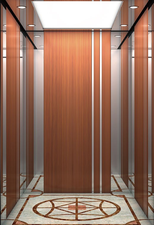 FUJI Home Elevator-FJ-VL08