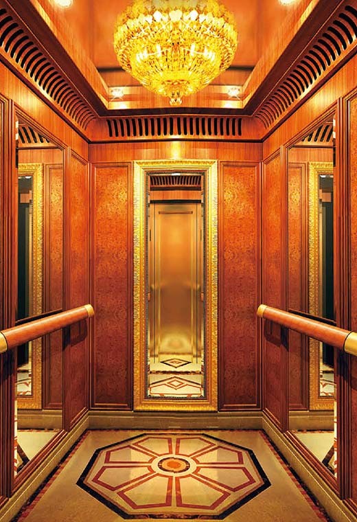 FUJI Passenger Elevator-FJ-PL15