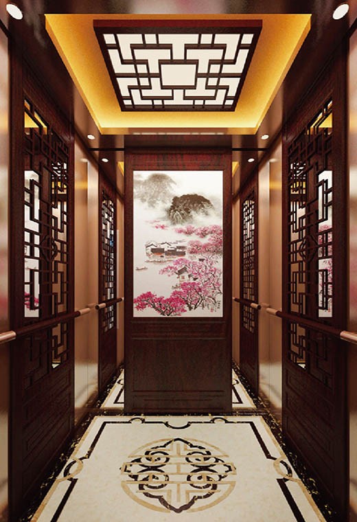 FUJI Home Elevator-FJ-VL06