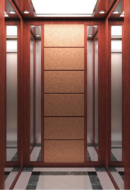FUJI Home Elevator-FJ-VL03
